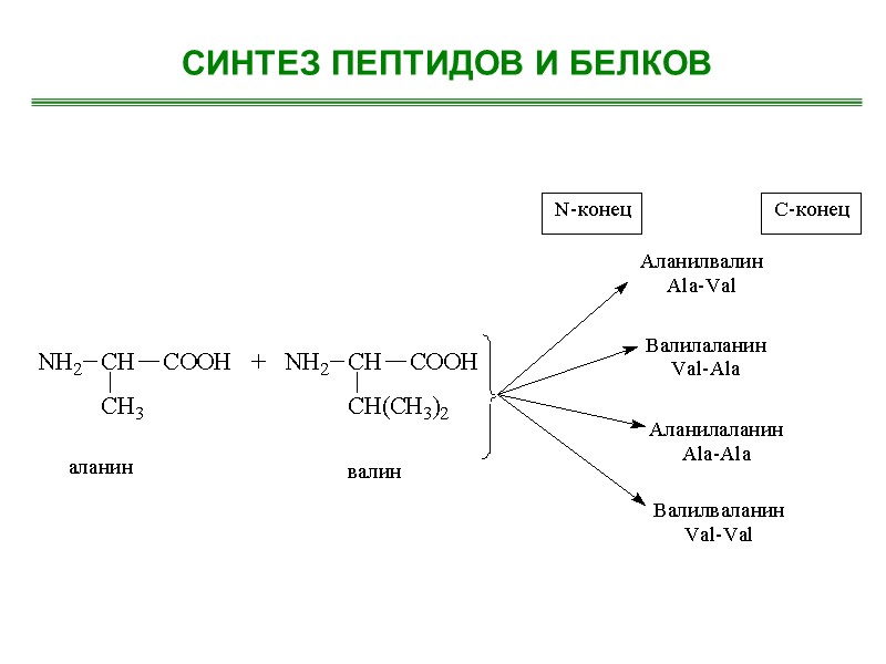 СИНТЕЗ ПЕПТИДОВ И БЕЛКОВ